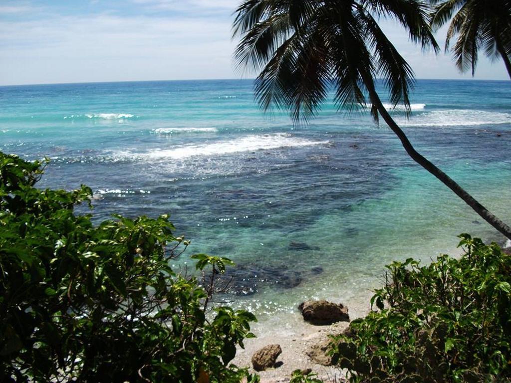 Hotel El Quemaito - Luxury Oceanfront Retreat Barahona Exterior photo